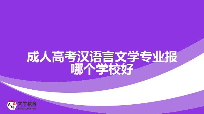 成人高考漢語言文學(xué)專業(yè)報哪個學(xué)校好