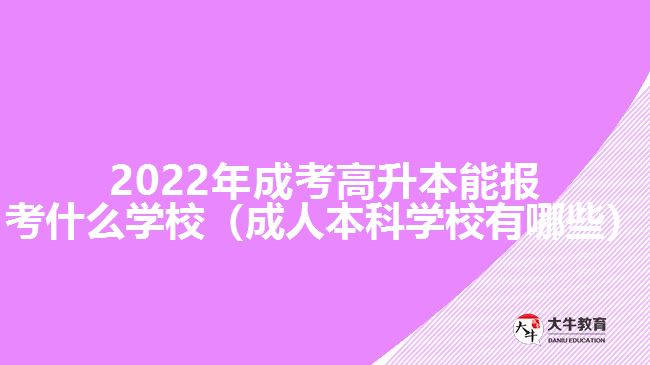 2022年成考高升本能報(bào)考什么學(xué)校