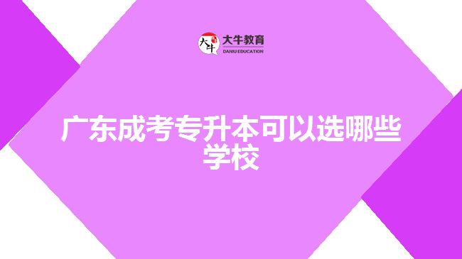 廣東成考專(zhuān)升本可以選哪些學(xué)校