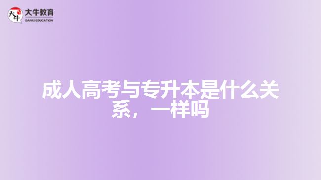 成人高考與專升本是什么關(guān)系一樣嗎