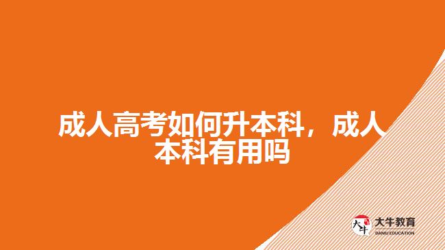 成人高考如何升本科，成人本科有用嗎