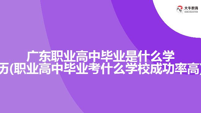 廣東職業(yè)高中畢業(yè)是什么學(xué)歷(職業(yè)高中畢業(yè)考什么學(xué)校成功率高)