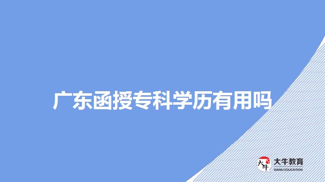 廣東函授專科學歷有用嗎