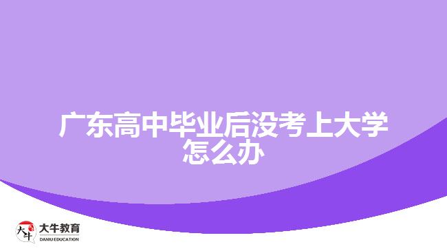 廣東高中畢業(yè)后沒考上大學(xué)怎么辦