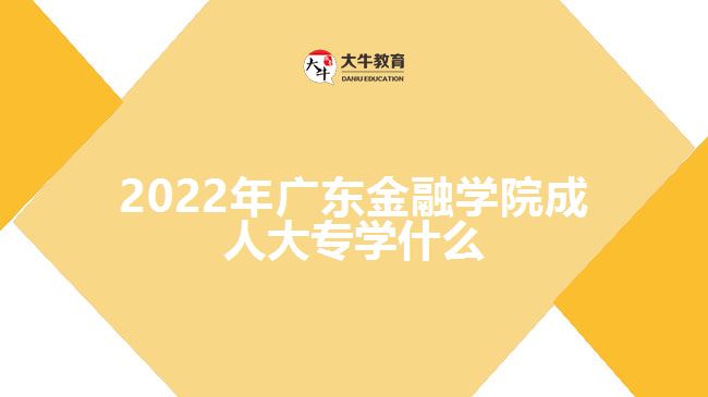 2022年廣東金融學院成人大專學什么