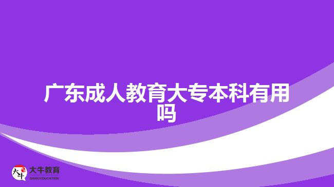 廣東成人教育大專本科有用嗎