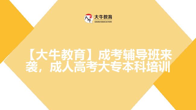 大牛教育成考輔導(dǎo)班來(lái)襲