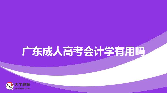 廣東成人高考會計學(xué)有用嗎