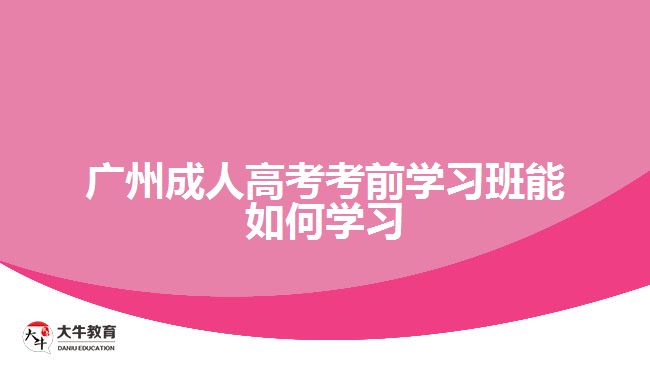 廣州成人高考考前學習班能如何學習