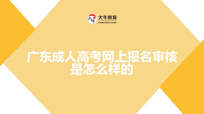 成人高考網(wǎng)上報(bào)名審核是怎么樣的