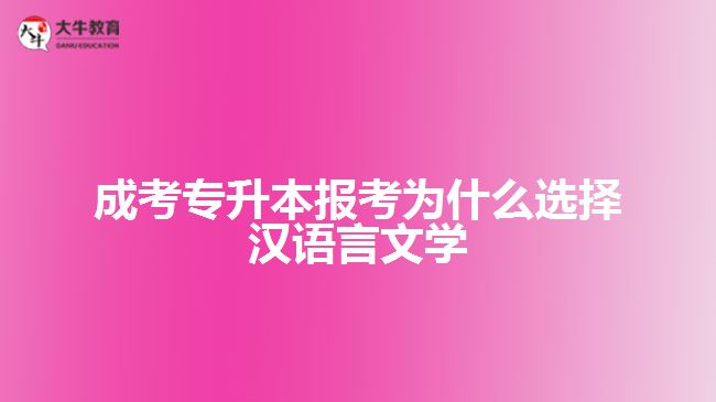 成考專升本報(bào)考選擇漢語(yǔ)言文學(xué)