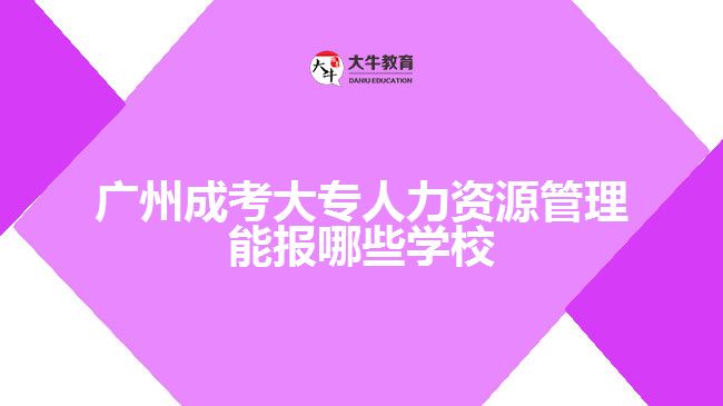 成考大專(zhuān)人力資源管理能報(bào)哪些學(xué)校