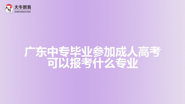 廣東中專畢業(yè)參加成人高考可以報(bào)考什么專業(yè)