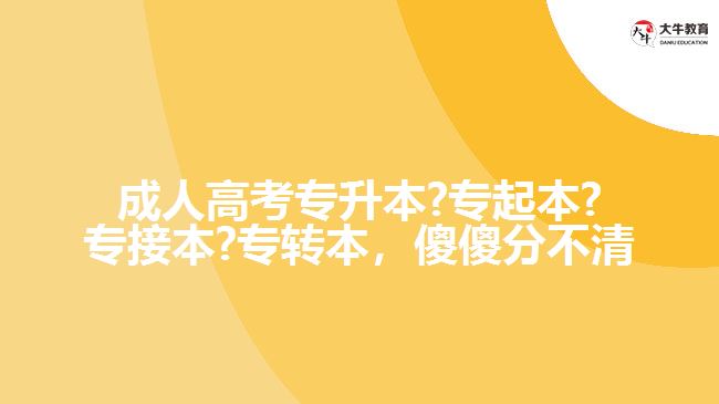 成人高考專升本?專起本?專接本?專轉(zhuǎn)本，傻傻分不清