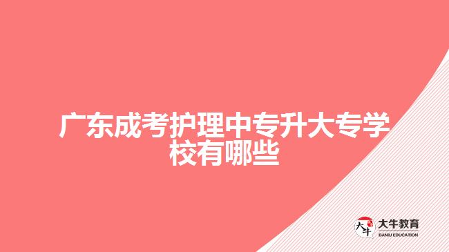 廣東成考護理中專升大專學校有哪些