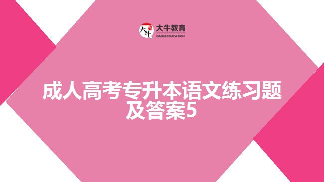 成人高考專升本語文練習(xí)題及答案5