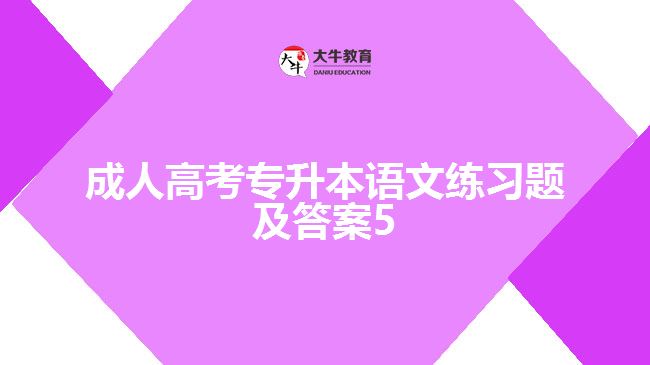 成人高考專升本語文練習(xí)題及答案5