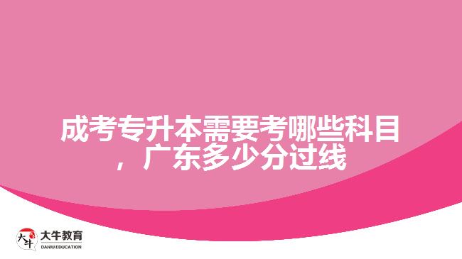 成考專升本需要考哪些科目，廣東多少分過線