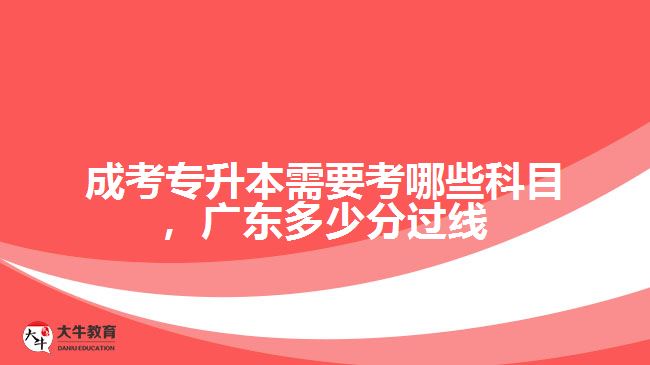 成考專升本需要考哪些科目