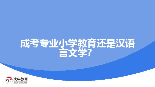 成考專業(yè)小學教育還是漢語言文學？