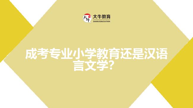 成考小學(xué)教育還是漢語言文學(xué)？