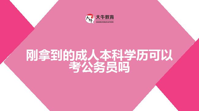 剛拿到的成人本科學(xué)歷可以考公務(wù)員嗎