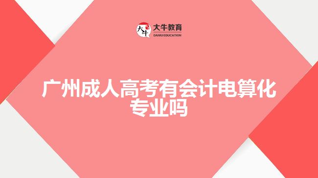 廣州成人高考有會(huì)計(jì)電算化專(zhuān)業(yè)嗎