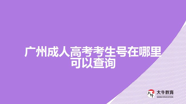 廣州成人高考考生號在哪里可以查詢