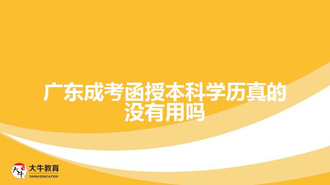 廣東成考函授本科學(xué)歷真的沒有用嗎