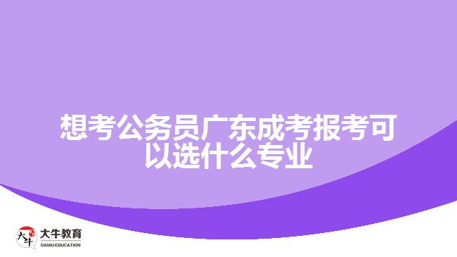 想考公務(wù)員成考報(bào)考可以選什么專業(yè)