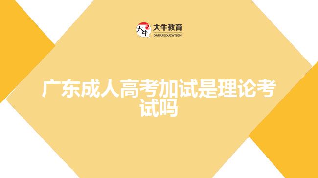 廣東成人高考加試是理論考試嗎