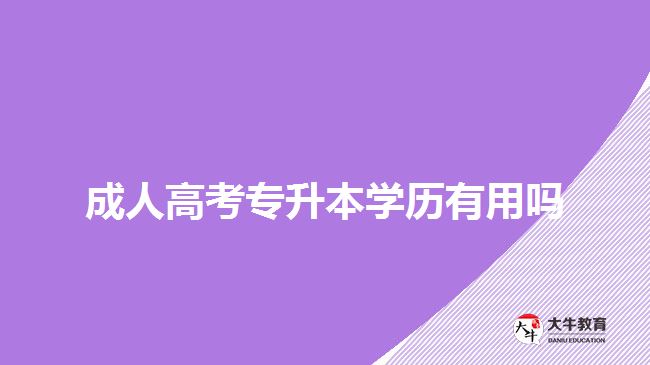 成人高考專升本學歷有用嗎