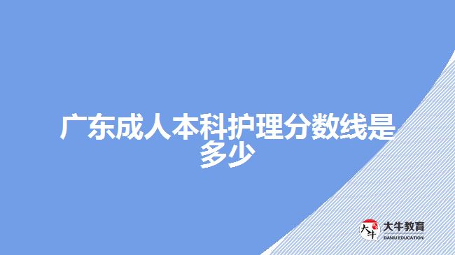 廣東成人本科護理分數(shù)線是多少