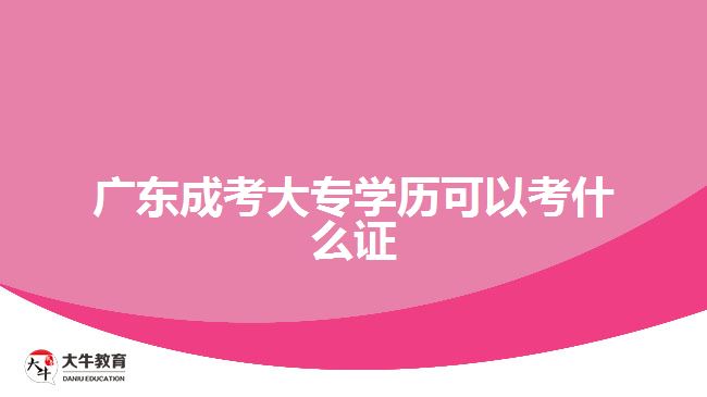 廣東成考大專學歷可以考什么證