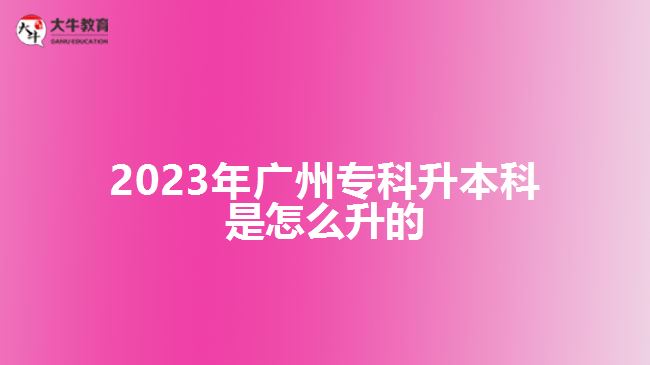 2023年廣州專(zhuān)科升本科是怎么升的