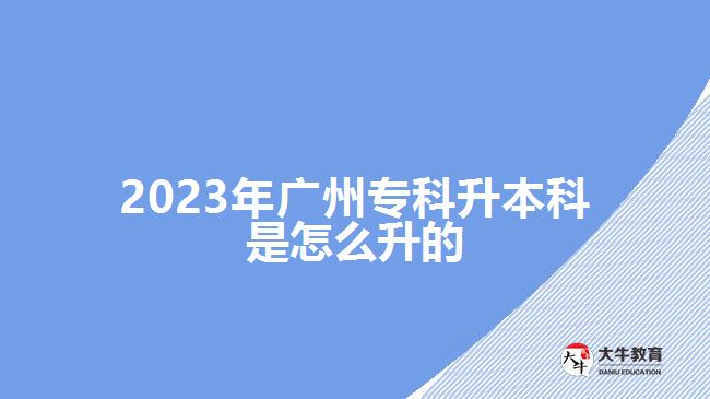 2023年廣州專(zhuān)科升本科是怎么升的