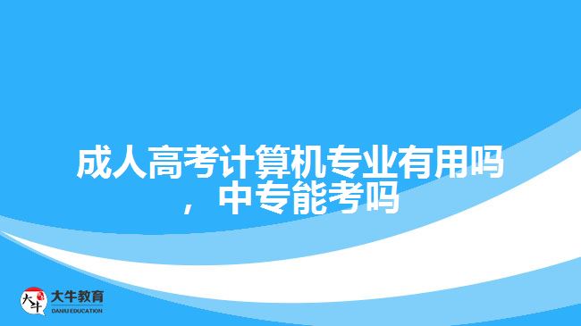 成考計(jì)算機(jī)專業(yè)有用嗎，中專能考嗎