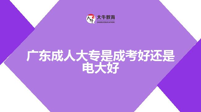 廣東成人大專(zhuān)是成考好還是電大好