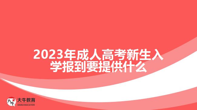 2023年成人高考新生入學(xué)報到要提供什么