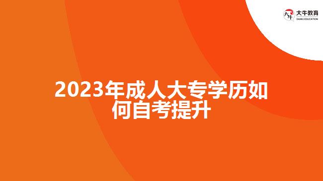 2023年成人大專(zhuān)學(xué)歷如何自考提升