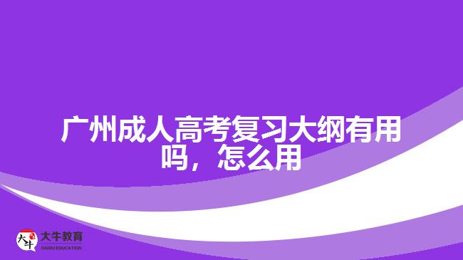 廣州成人高考復習大綱有用嗎，怎么用