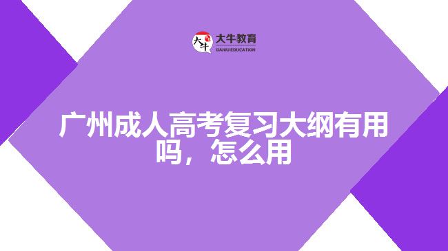 廣州成人高考復習大綱有用嗎怎么用