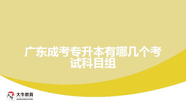 廣東成考專升本有哪幾個(gè)考試科目組