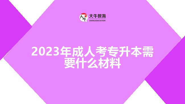 2023年成人考專升本需要什么材料