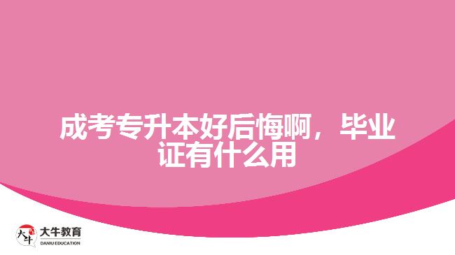 成考專升本好后悔啊，畢業(yè)證有什么用