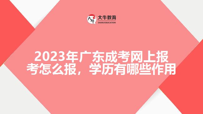 2023年廣東成考網(wǎng)上報(bào)考怎么報(bào)，學(xué)歷有哪些作用