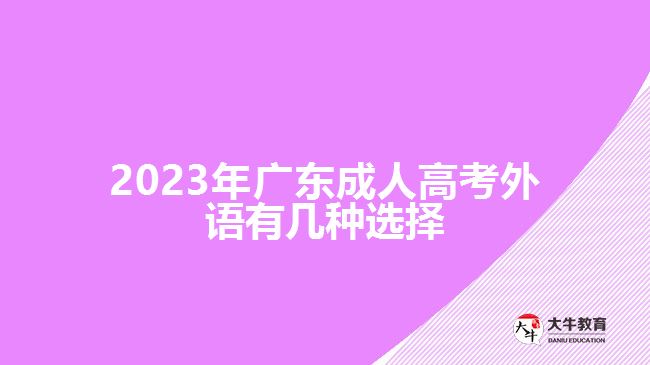 2023年廣東成人高考外語有幾種選擇