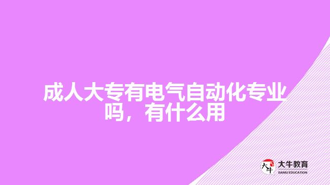 成人大專有電氣自動化專業(yè)嗎