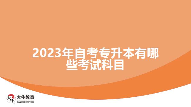 2023年自考專升本有哪些考試科目