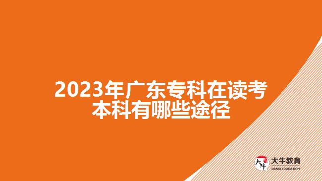 2023年廣東?？圃谧x考本科有哪些途徑